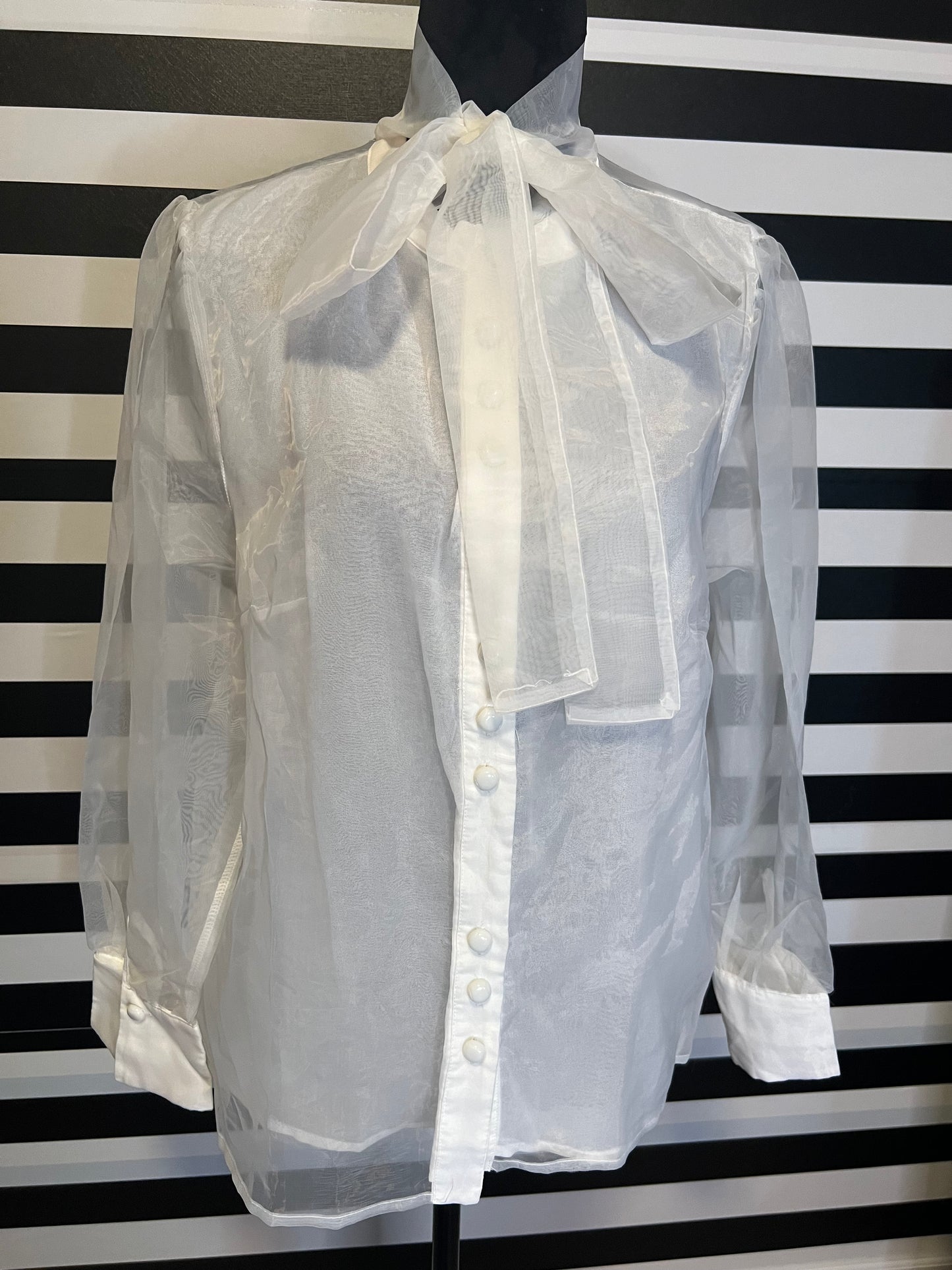 Plus Size Sheer Bow Collar